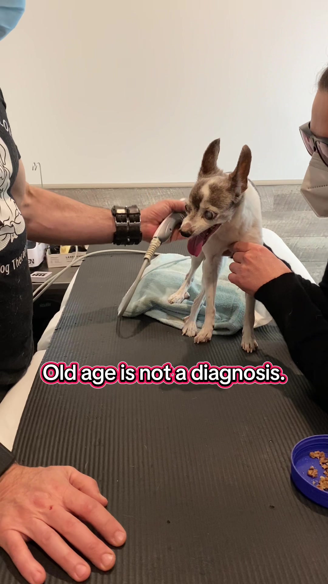 @ArfitDogRehabFitness
