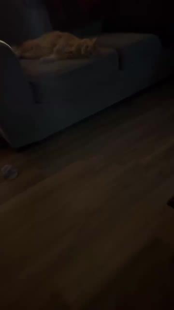 @M1STA-J