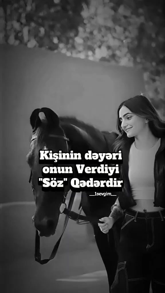 @⚜️𝙎𝙀𝙑𝙂İ𝙈⚜️