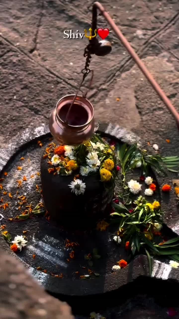 @✨❤️MAHADEV ka deewana 📿🙇🏻