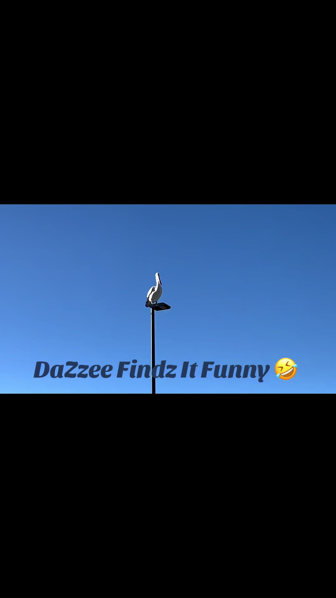 @DaZzee