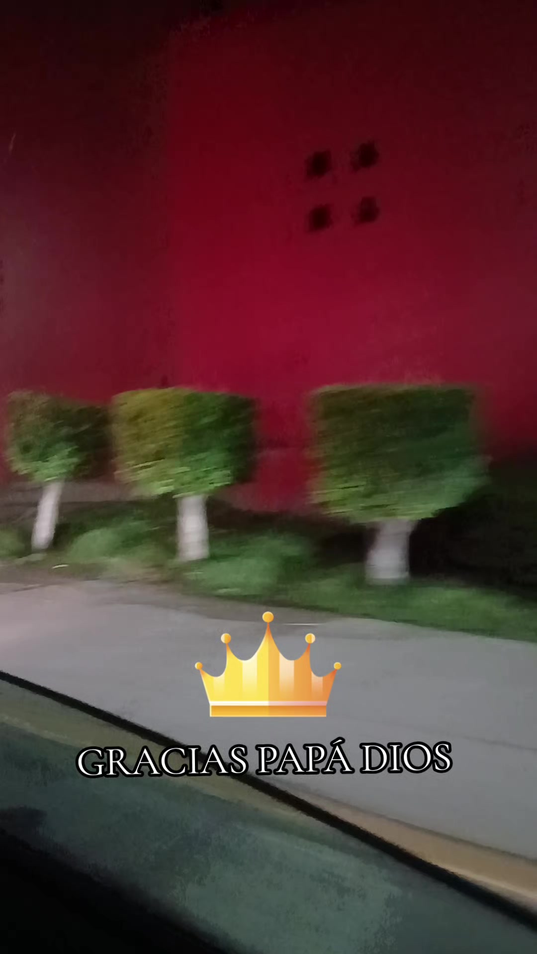 @Camila flores
