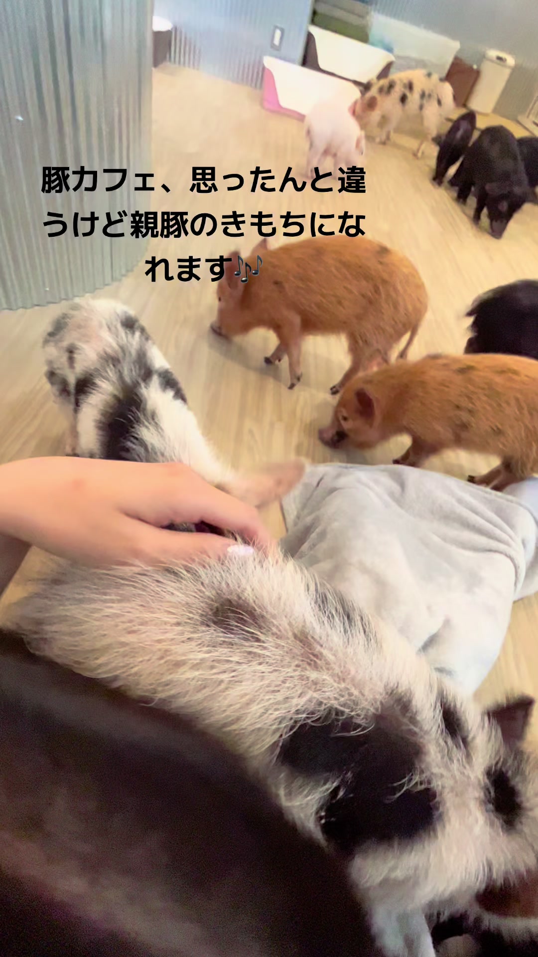 @りお殿