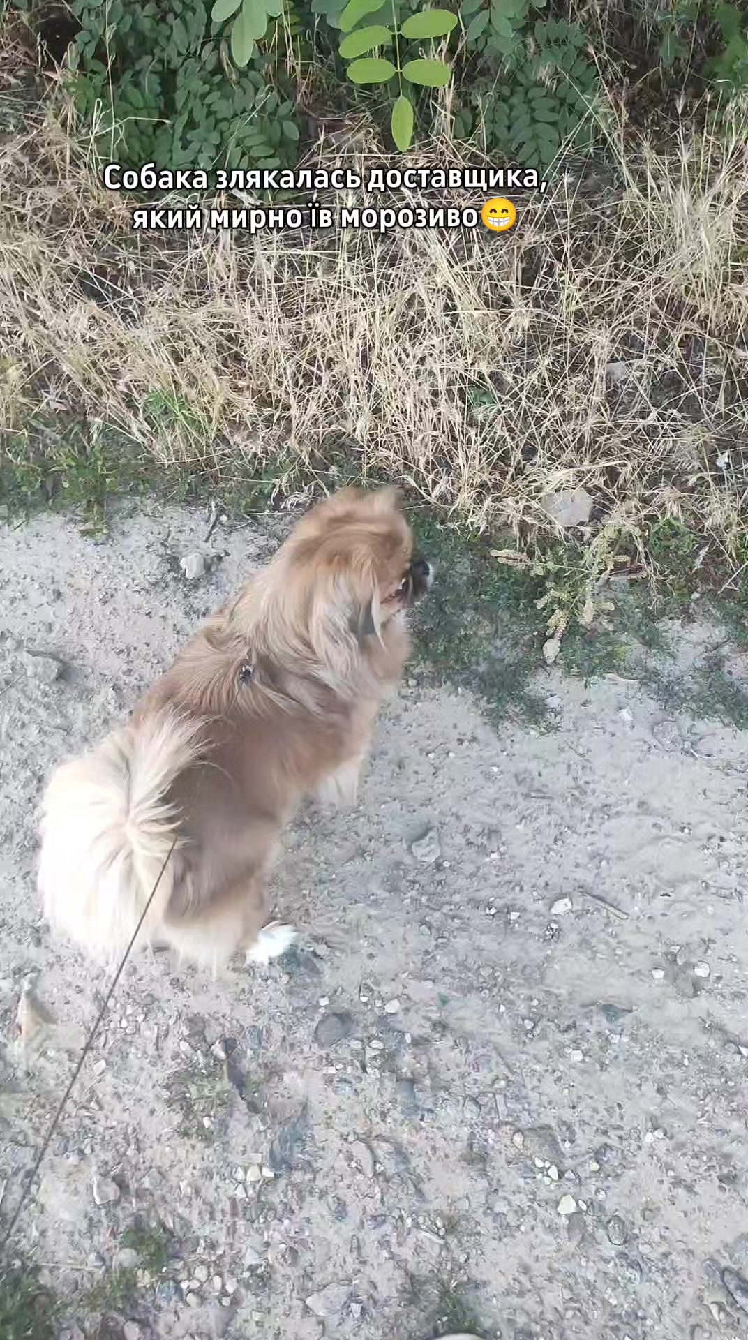 @Наталі Біленька💜