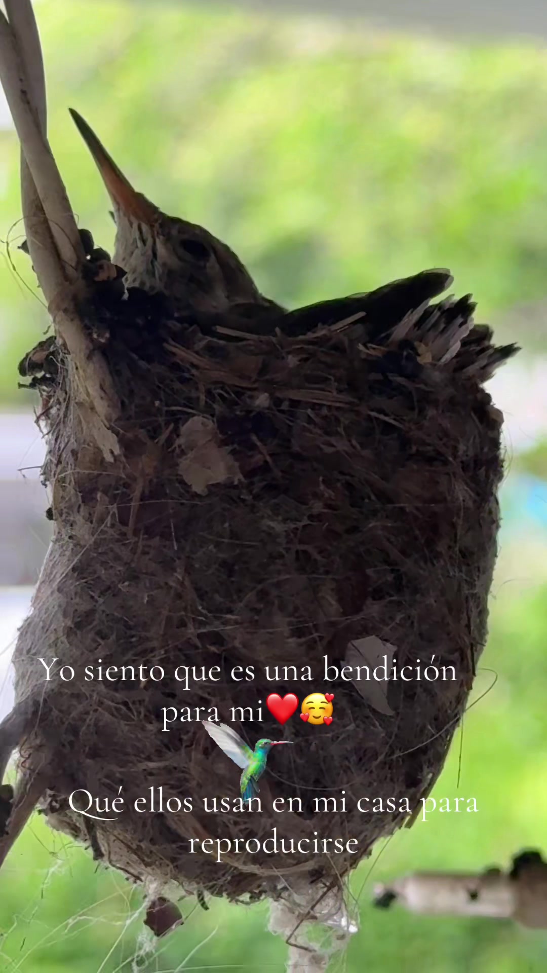 @JosieB🌻