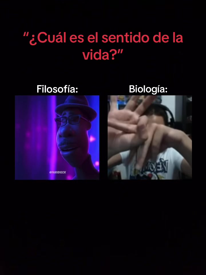 @ELCARITAS