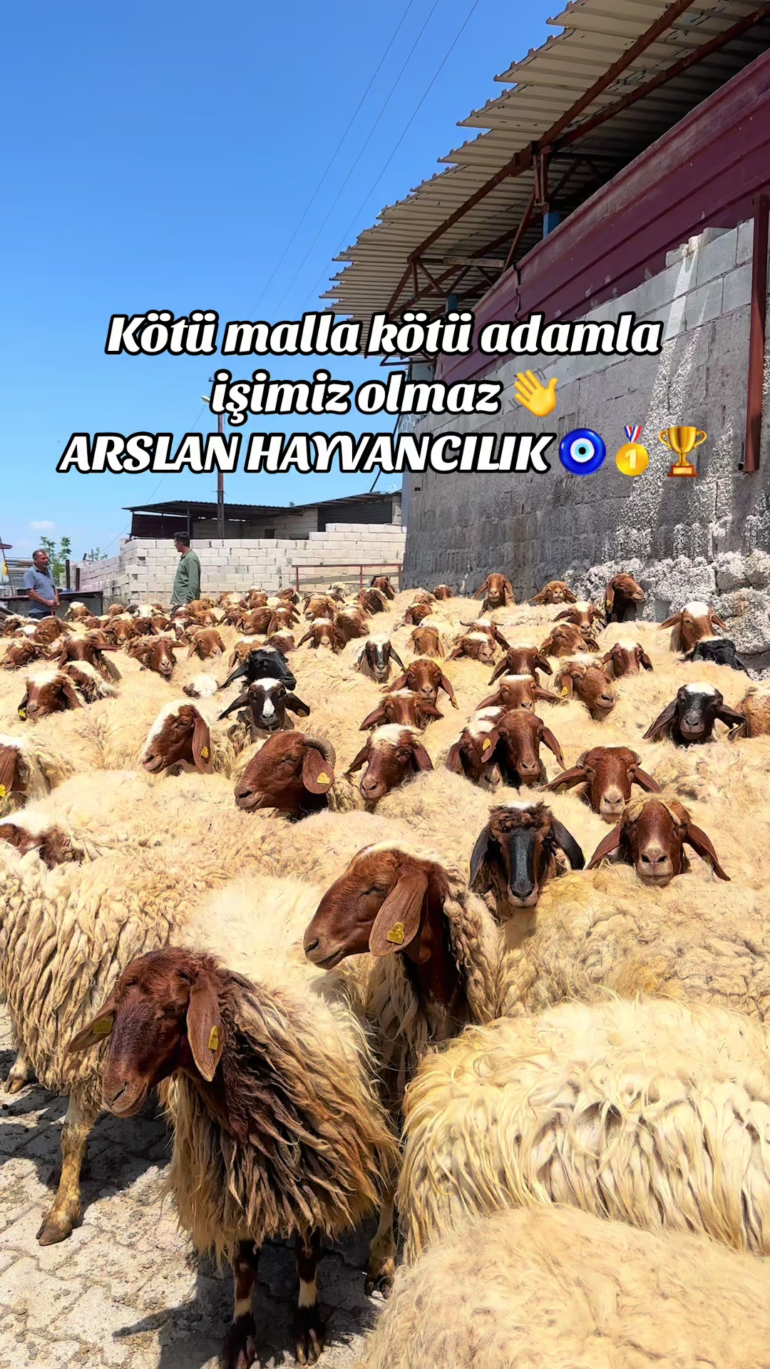@cuma_arslan027