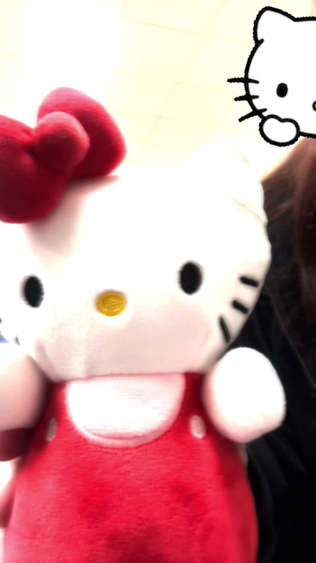 @hello kitty 😼