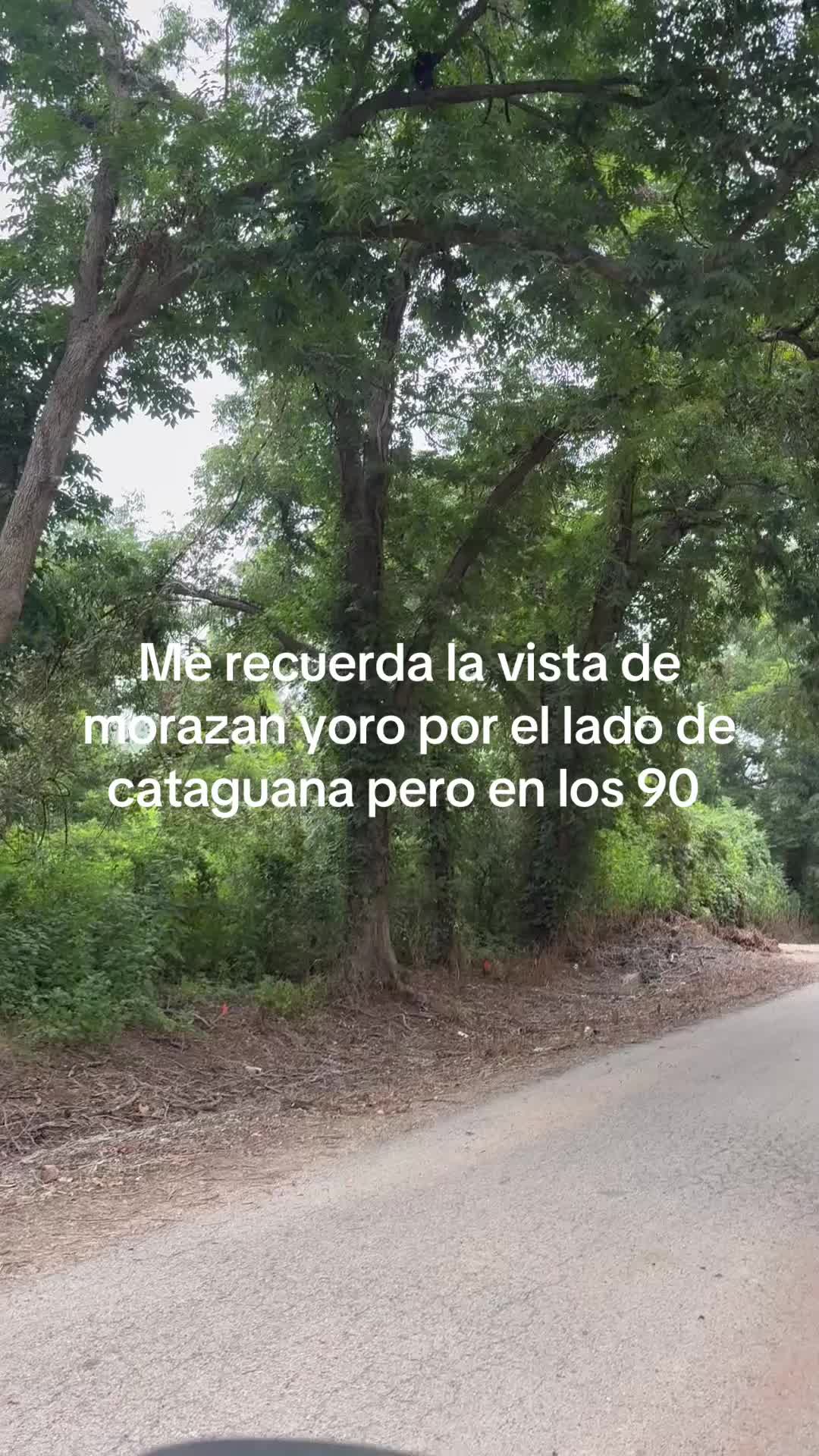 @Ochoa👶🦁🫶🌕🫡🐼💙📚
