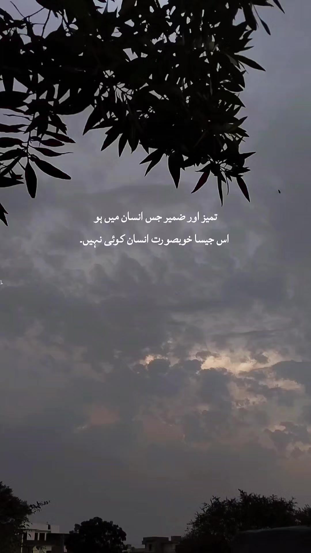 @eeshahhy_𖹭𓏧