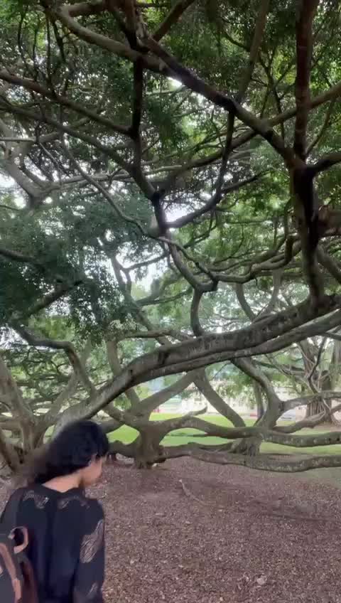 @piyumika_25