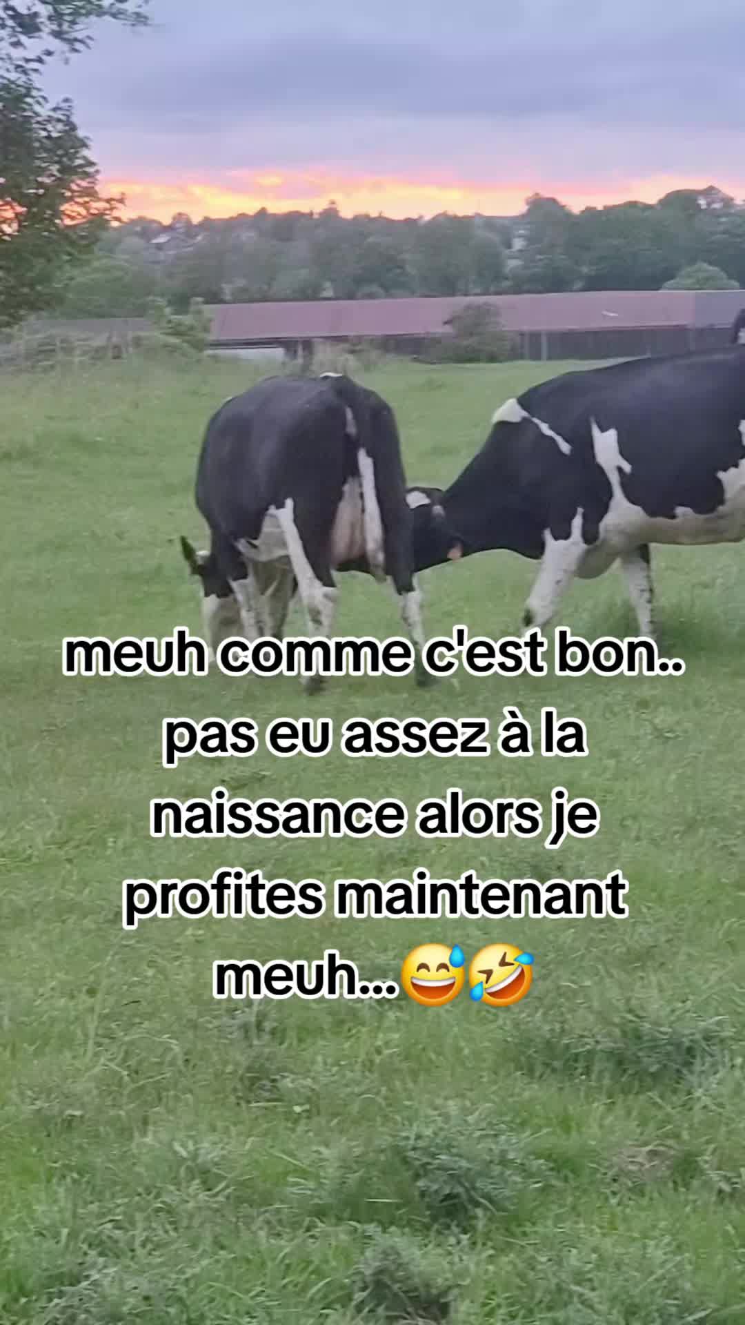 @folasse🤯🤣😜