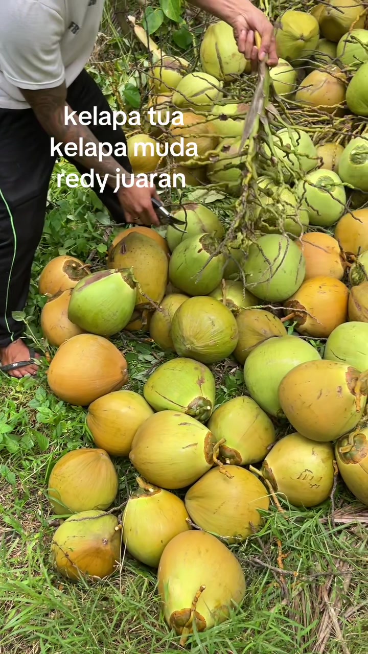 @🅿️endiyastawa