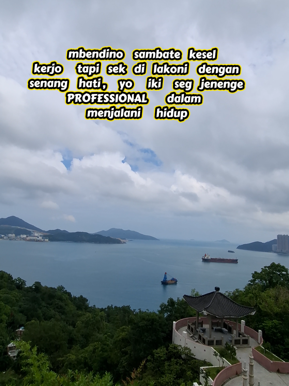 @🇭🇰SAILANFA🇼🇸