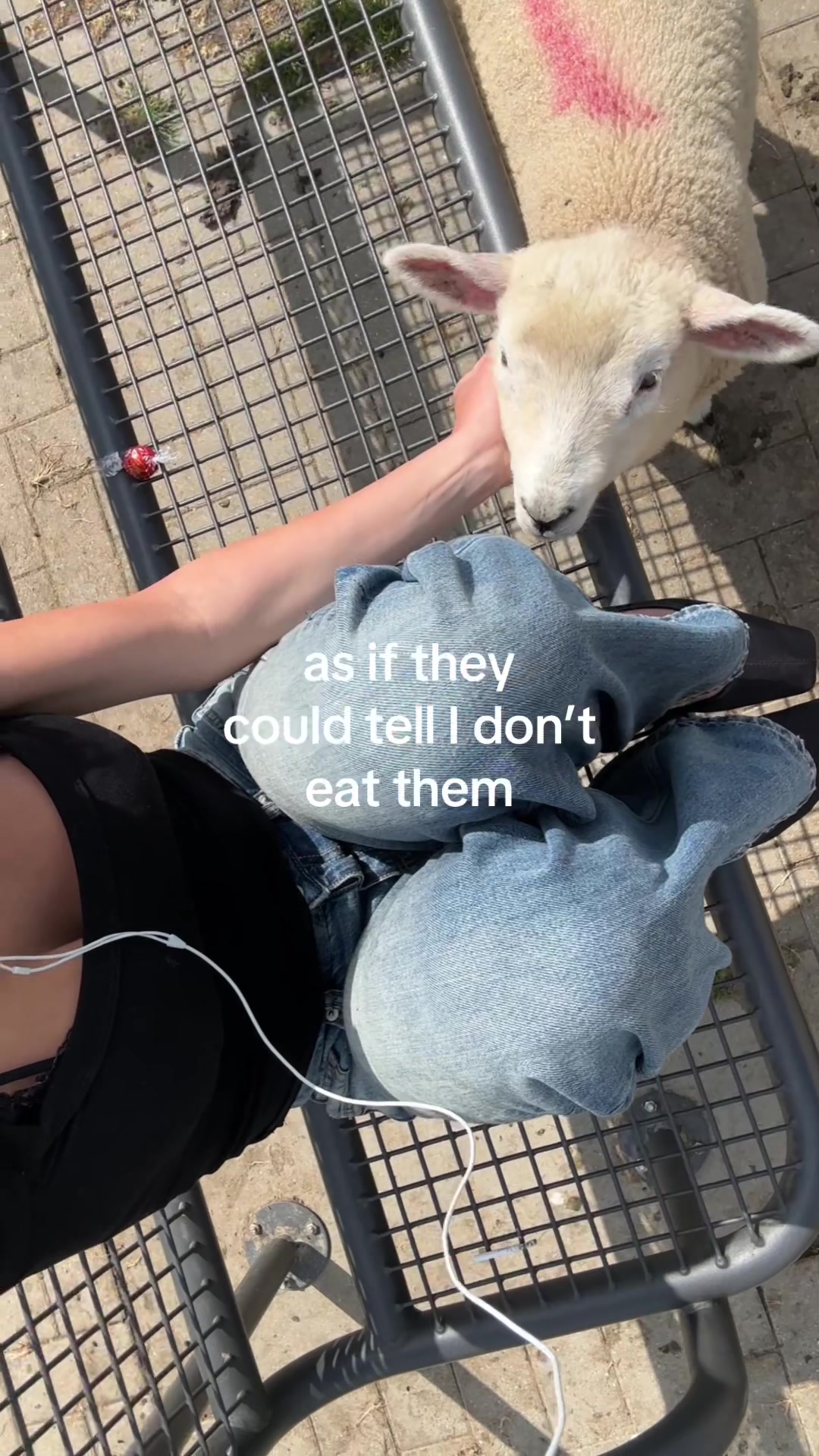 @eecemay