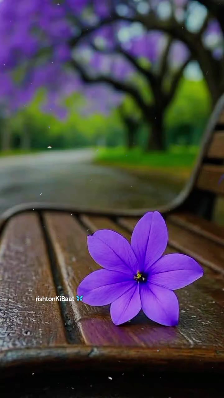 @Rishton Ki Baat