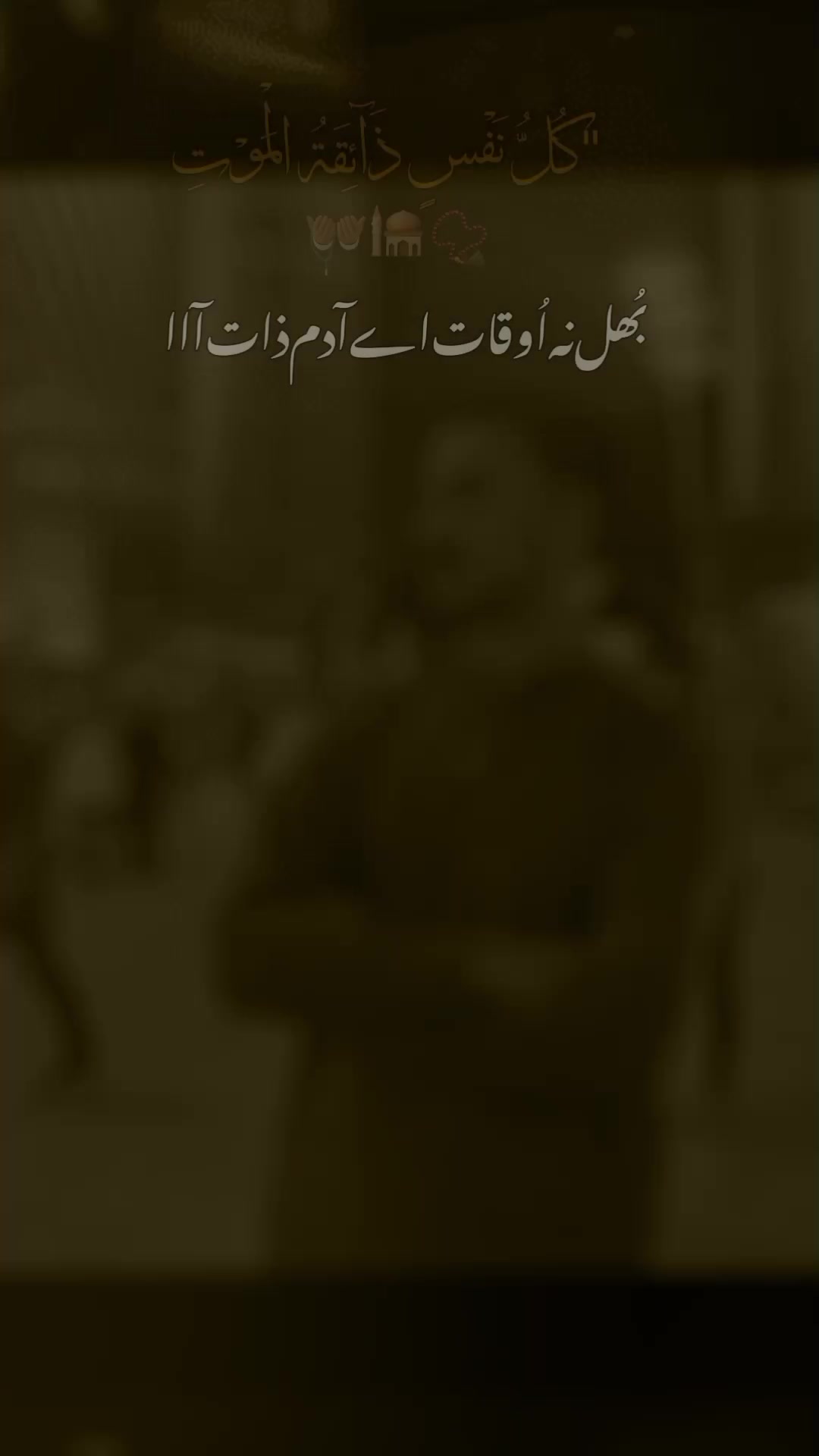 @حیدر🇶🇦