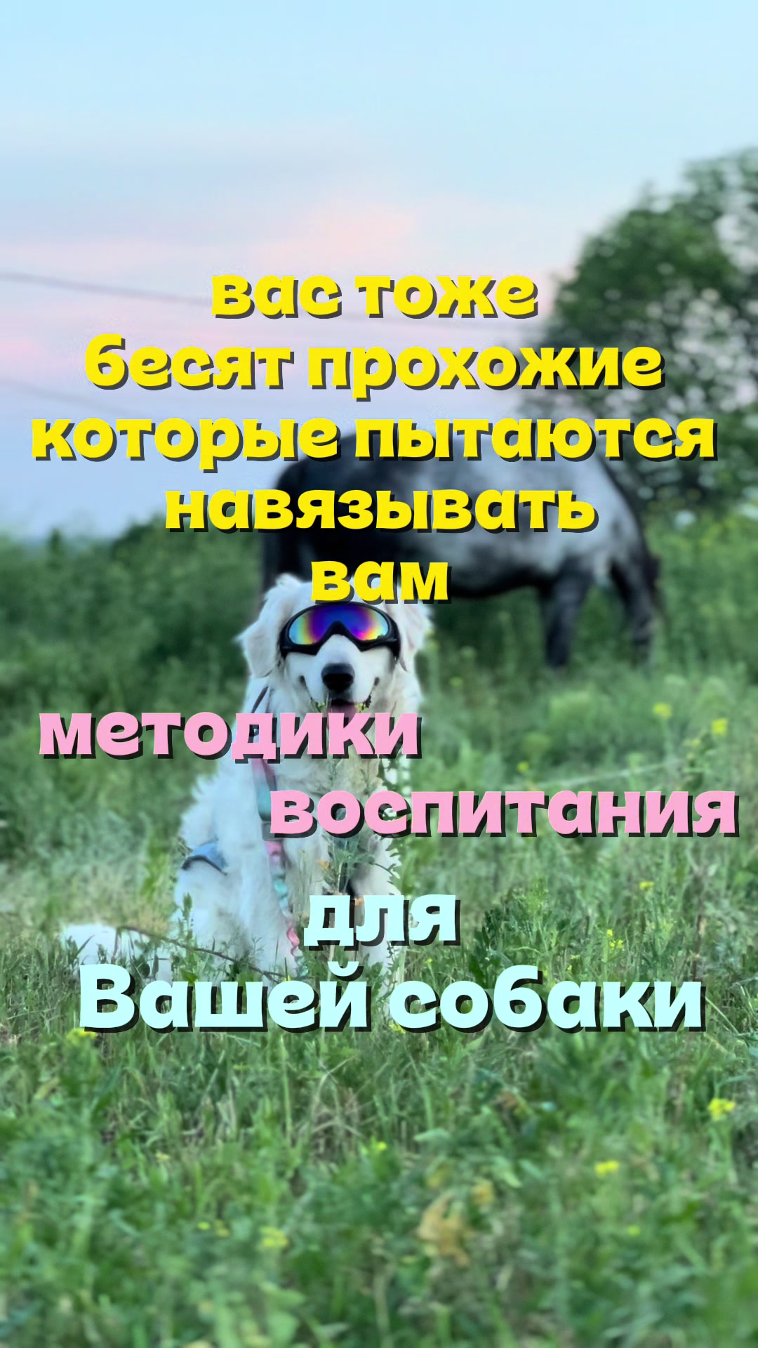 @𐔤ɯᥲᥴⲧыύ ⲙᥲρ᥈υ🥏