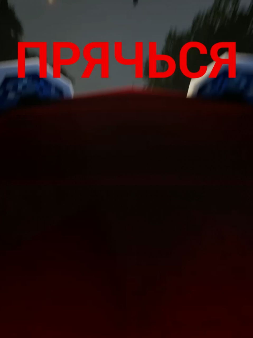 @Волшебный медведь📡🧂