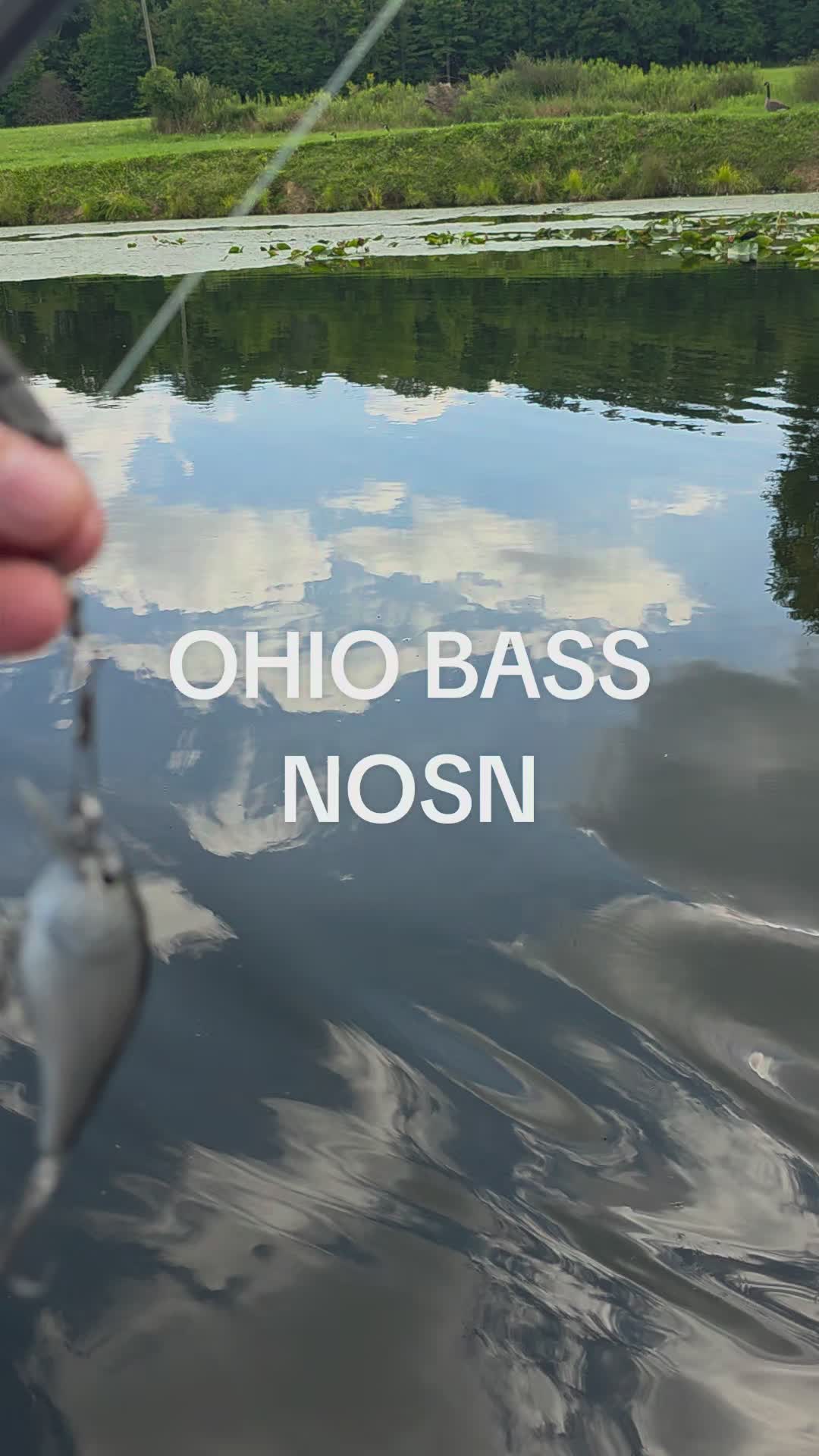 @3dprintedlures FWC