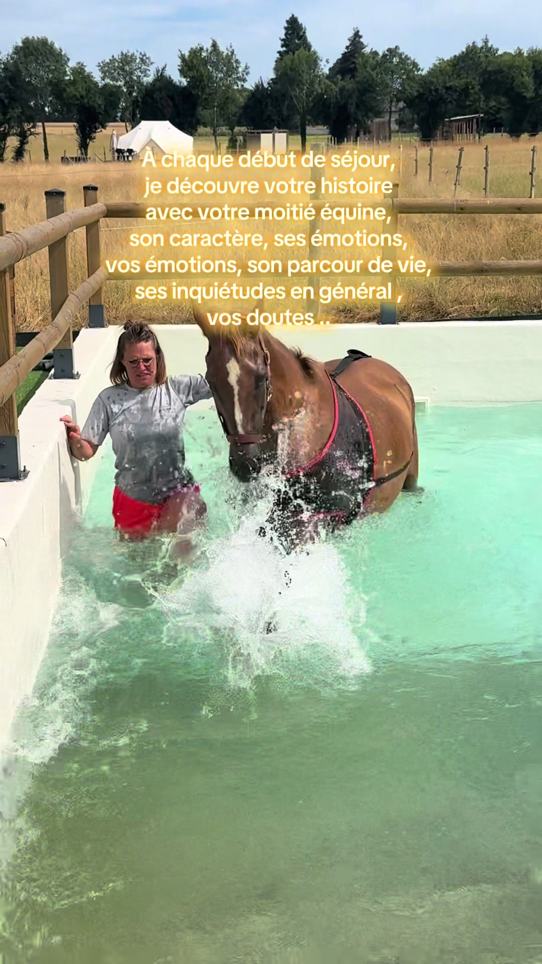 @Centre BienEtre Equin & Canin