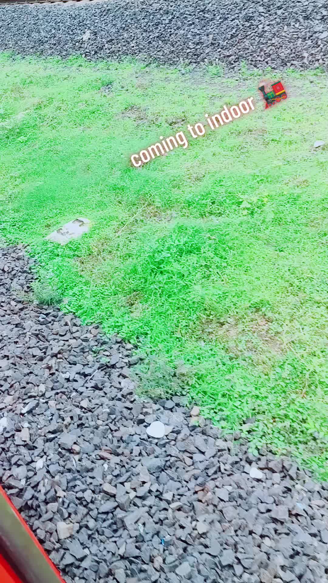 @dipendramahato31