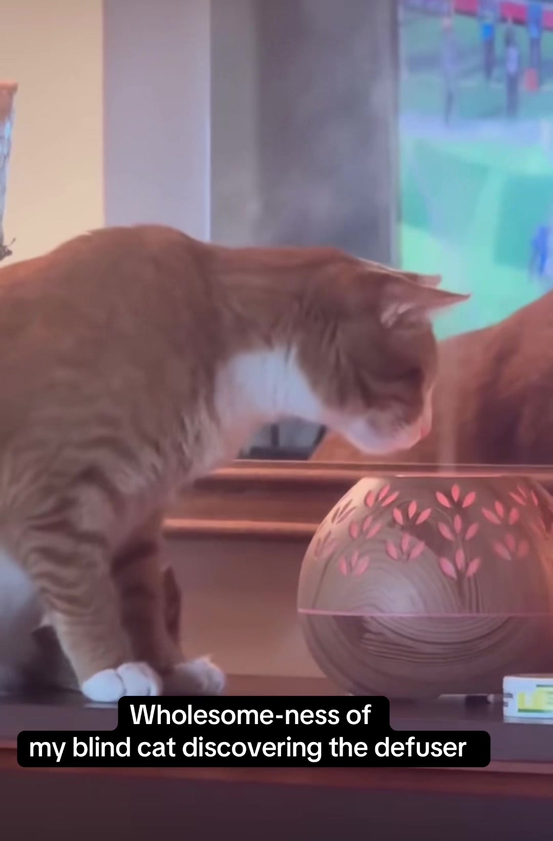 @DooDooCAT