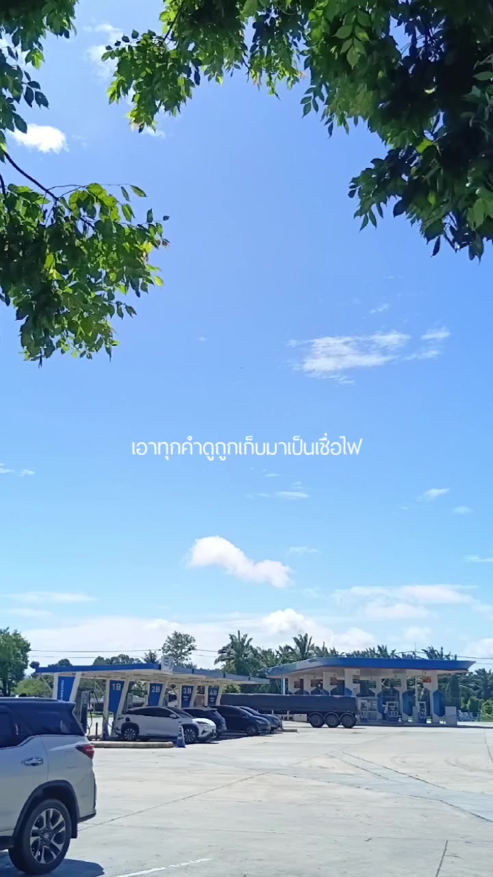 @ชมรมคนเบียวก็อตซิลล่า 🦖🐊
