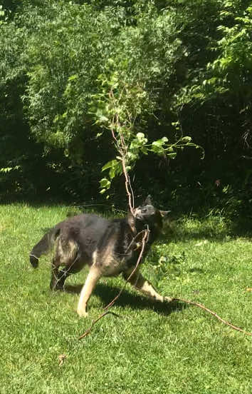 @MERCURY_GSD_24_7