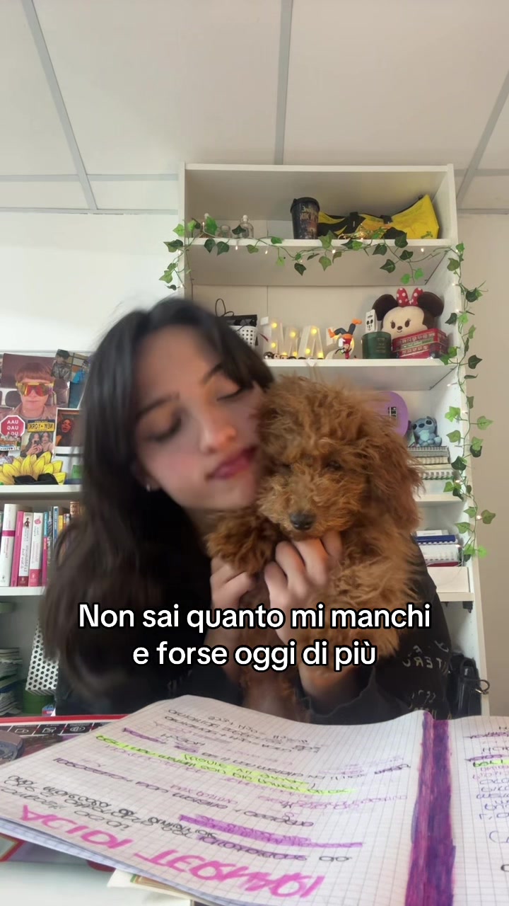 @Sammmm