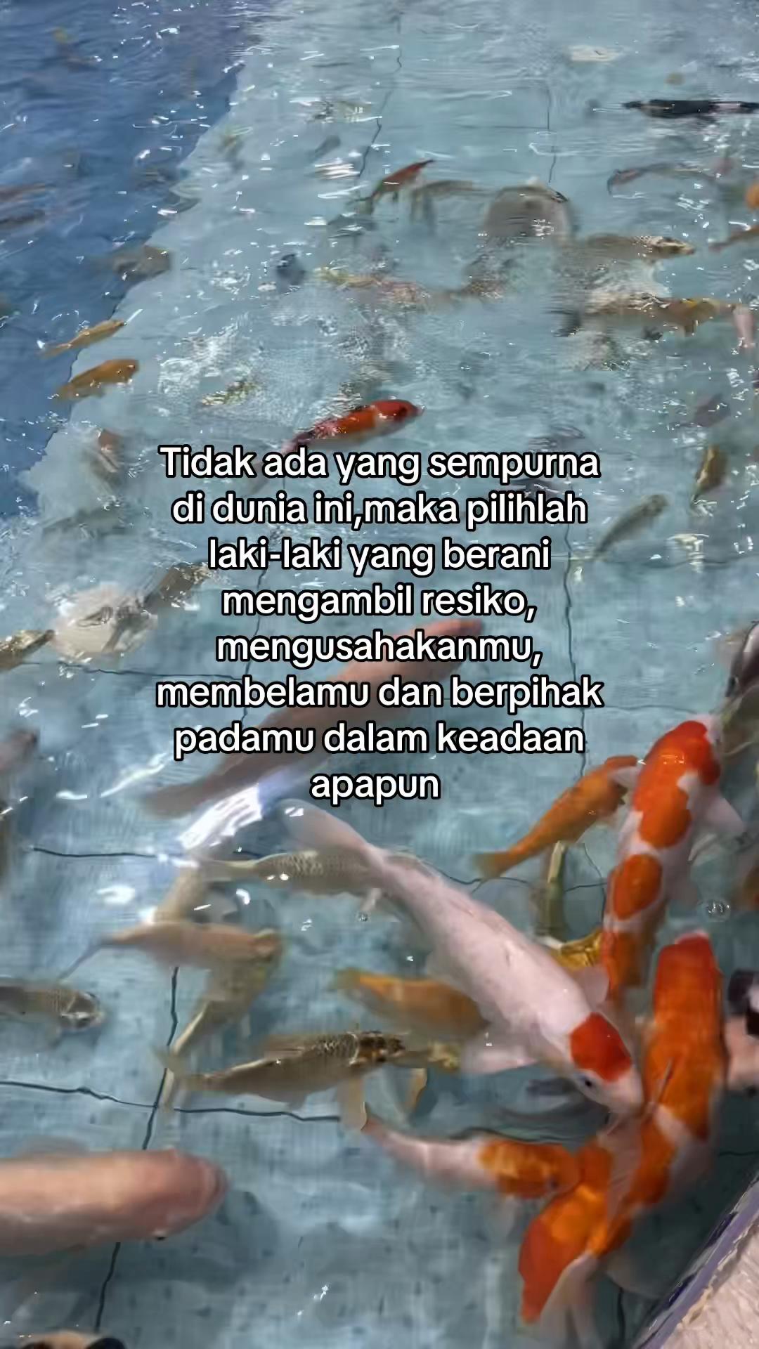 @Pain :)