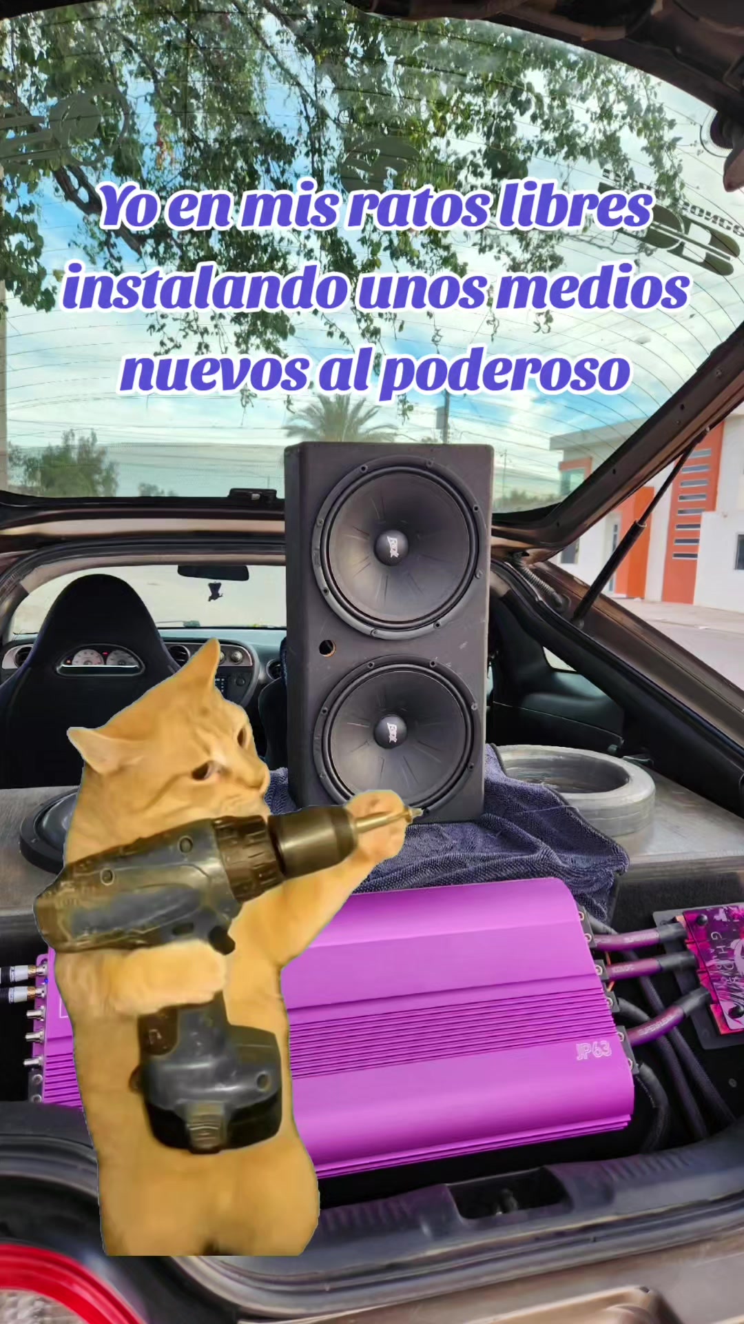 @Fernando Delgado