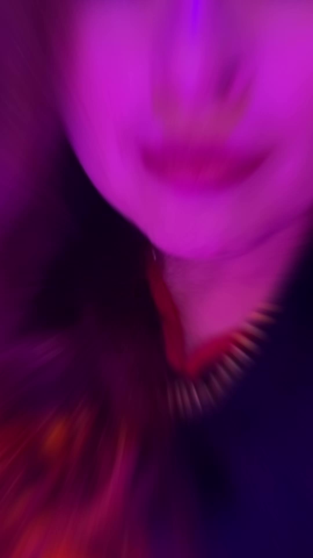 @Celene Diaz