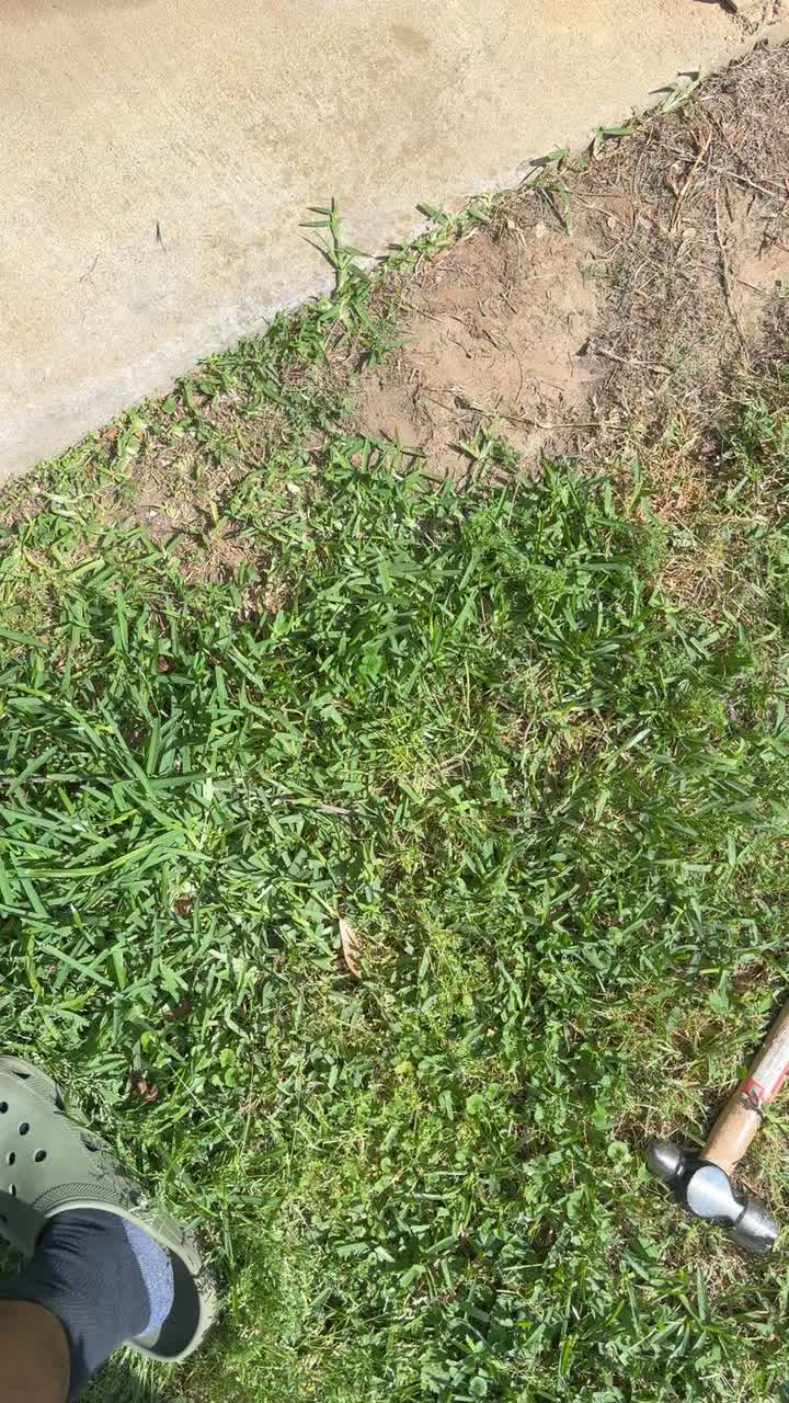 @vincehernandez628