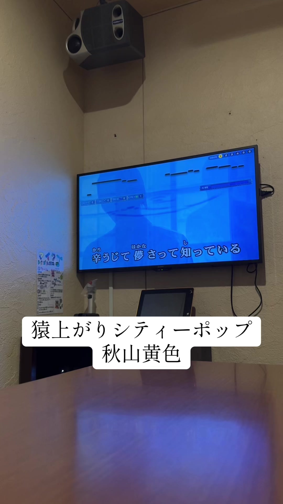 @音痴メロン