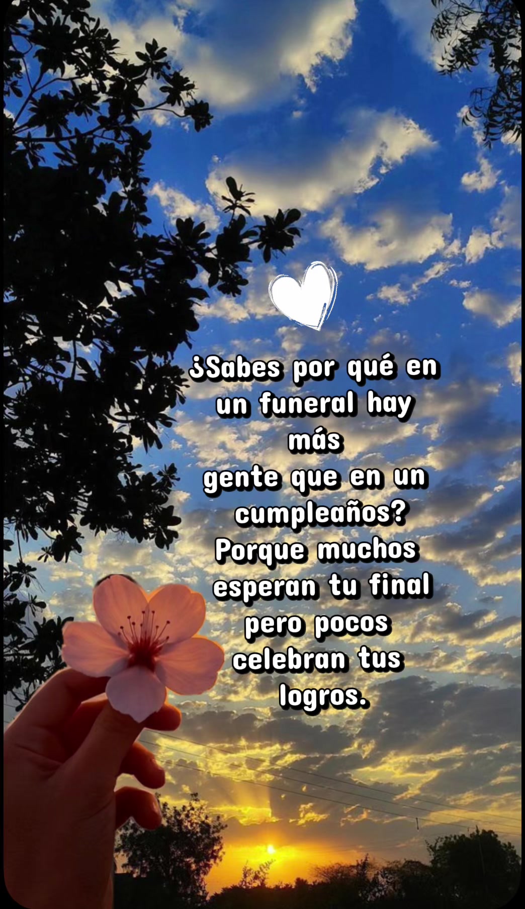 @𝓜𝓪𝓻𝓰𝓪𝓻𝓪.𝓞𝓯𝓲𝓬𝓲𝓪𝓵✨