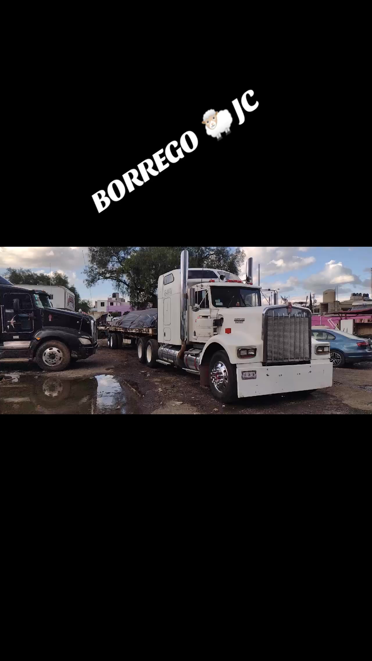 @BORREGO 🐑 JC