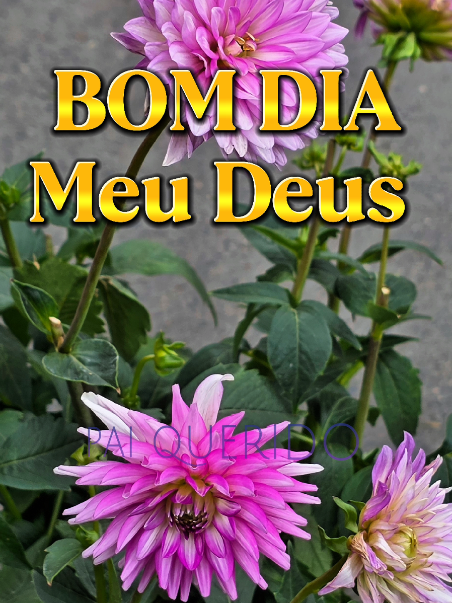 @PromessadeDeus91