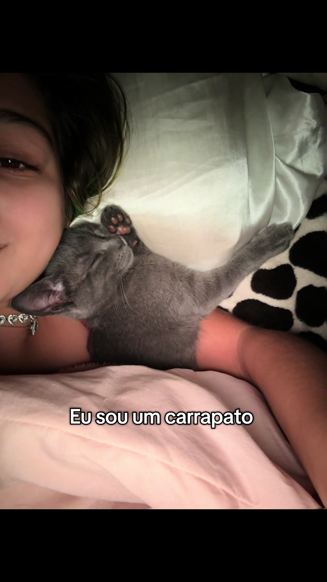 @laravidalofc