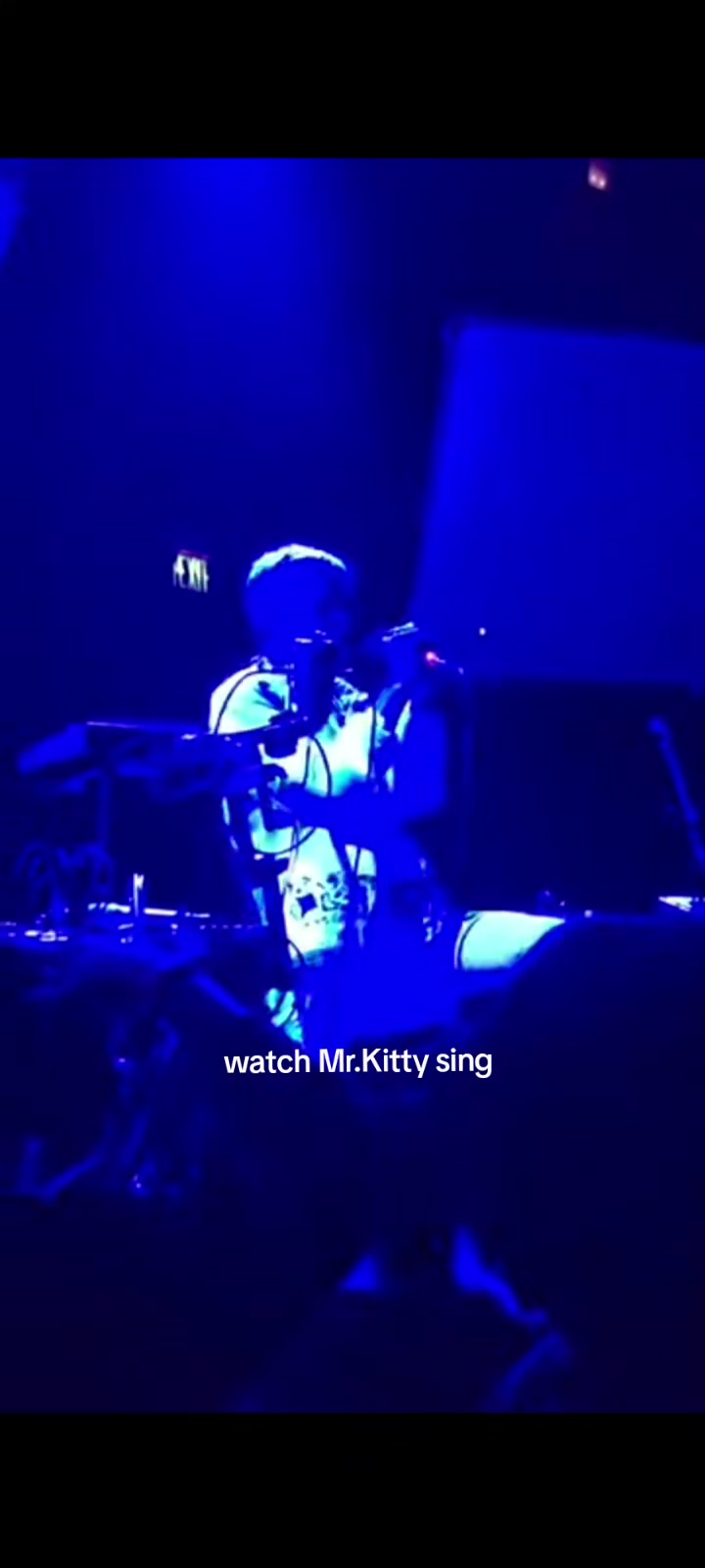 @Daily Mr.Kitty