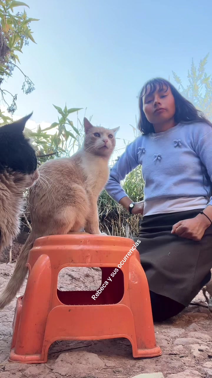 @🐈Rebeca y sus ocurrencias