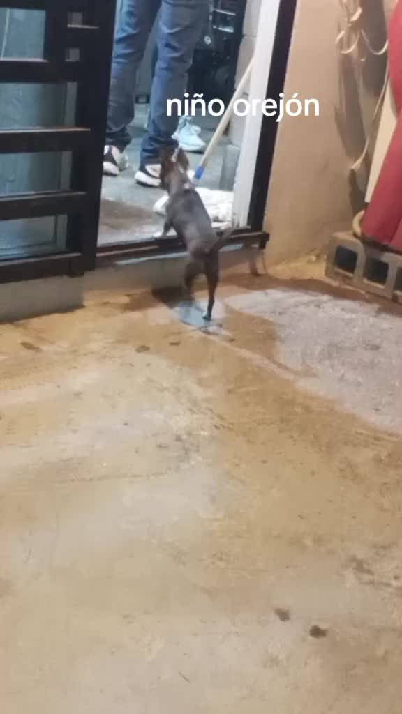 @デミアン