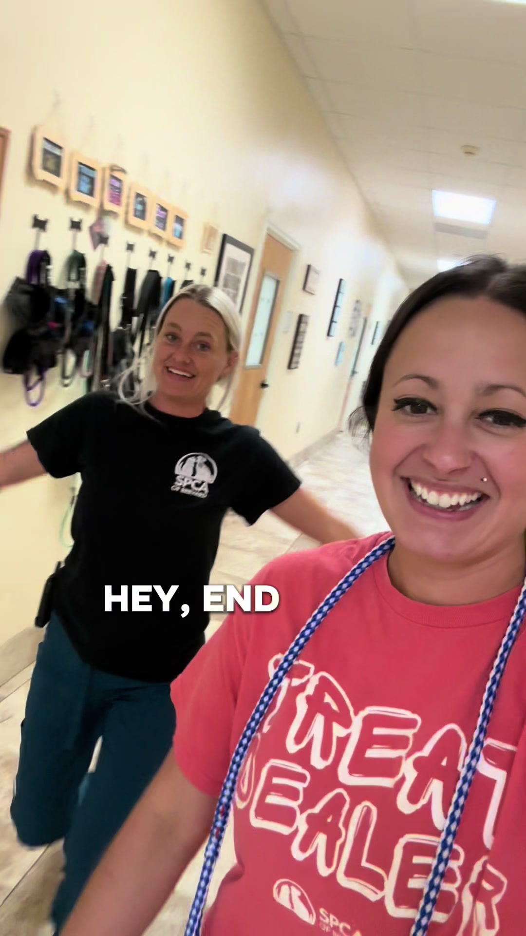 @2vettechs