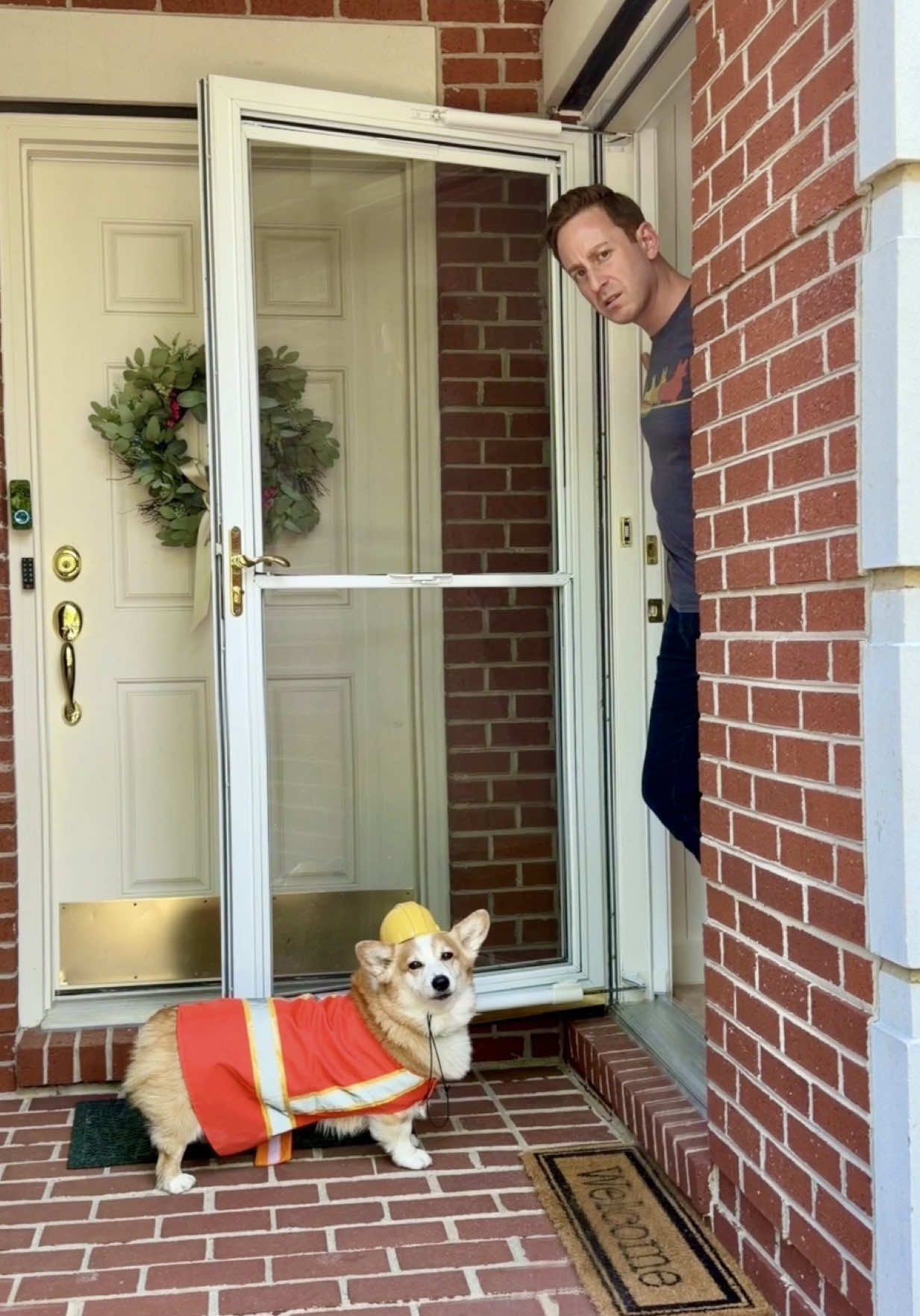 @Hammy & Olivia Corgi