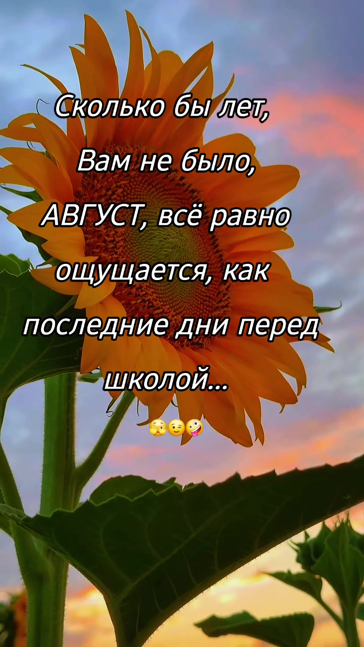 @🇰🇿🌺🌸Нᴀᴛᴀᴧья🌸Kz.16_ukg👋🤝