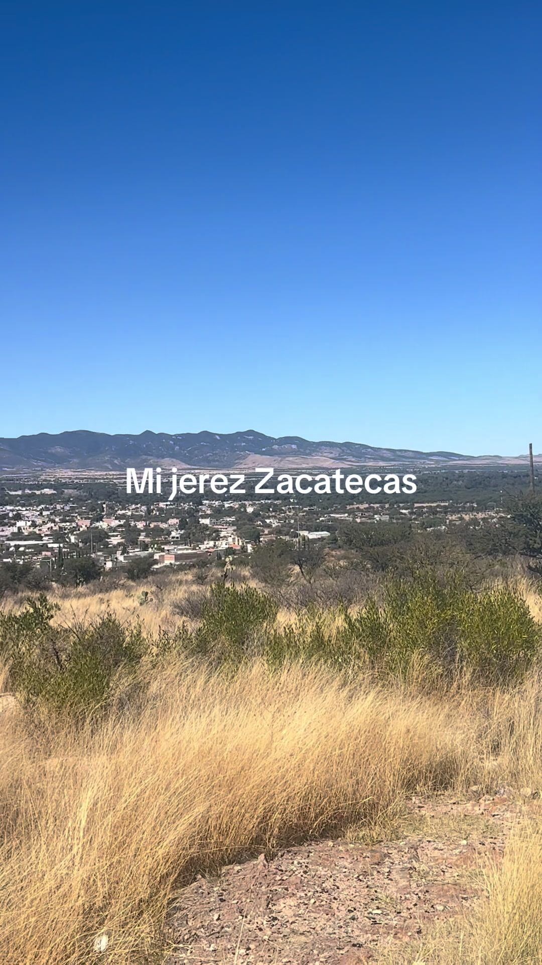 @ManuelAcosta