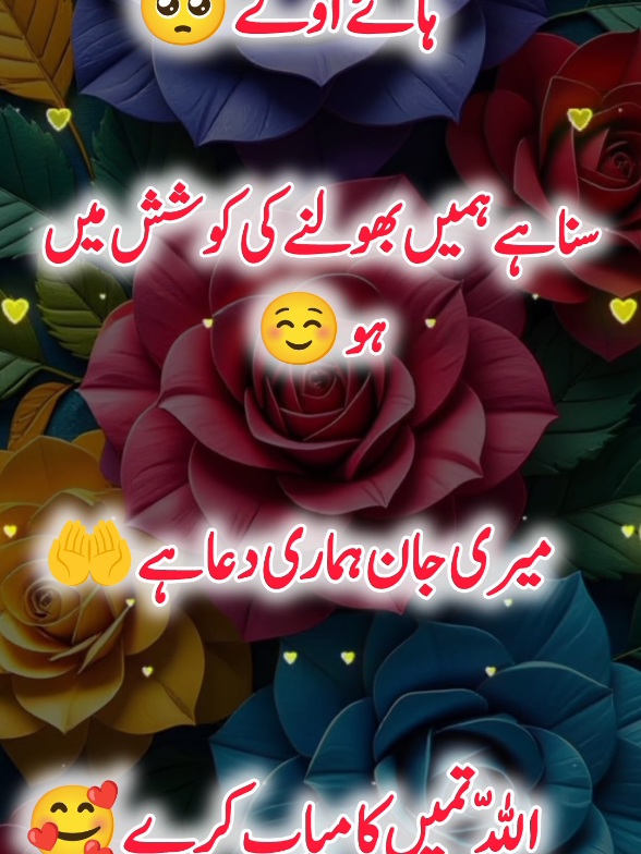 @Janyman379