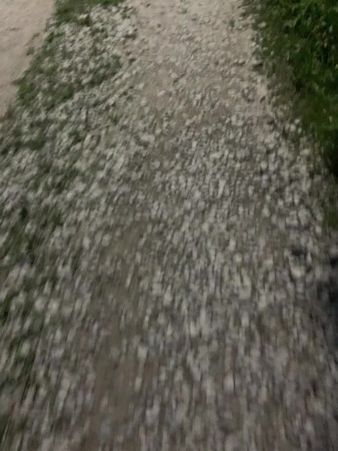 @соня дрель