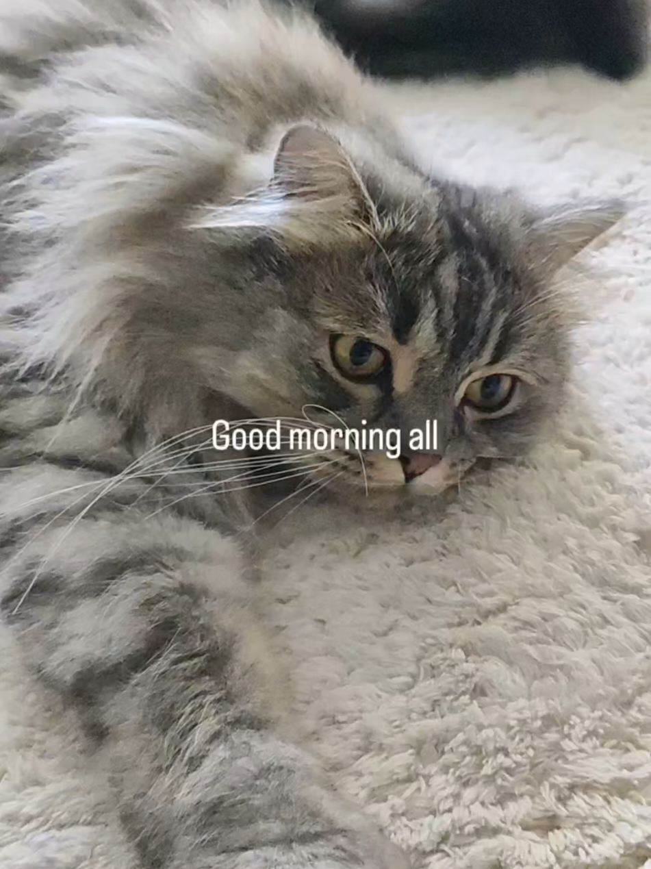 @LeonMylo