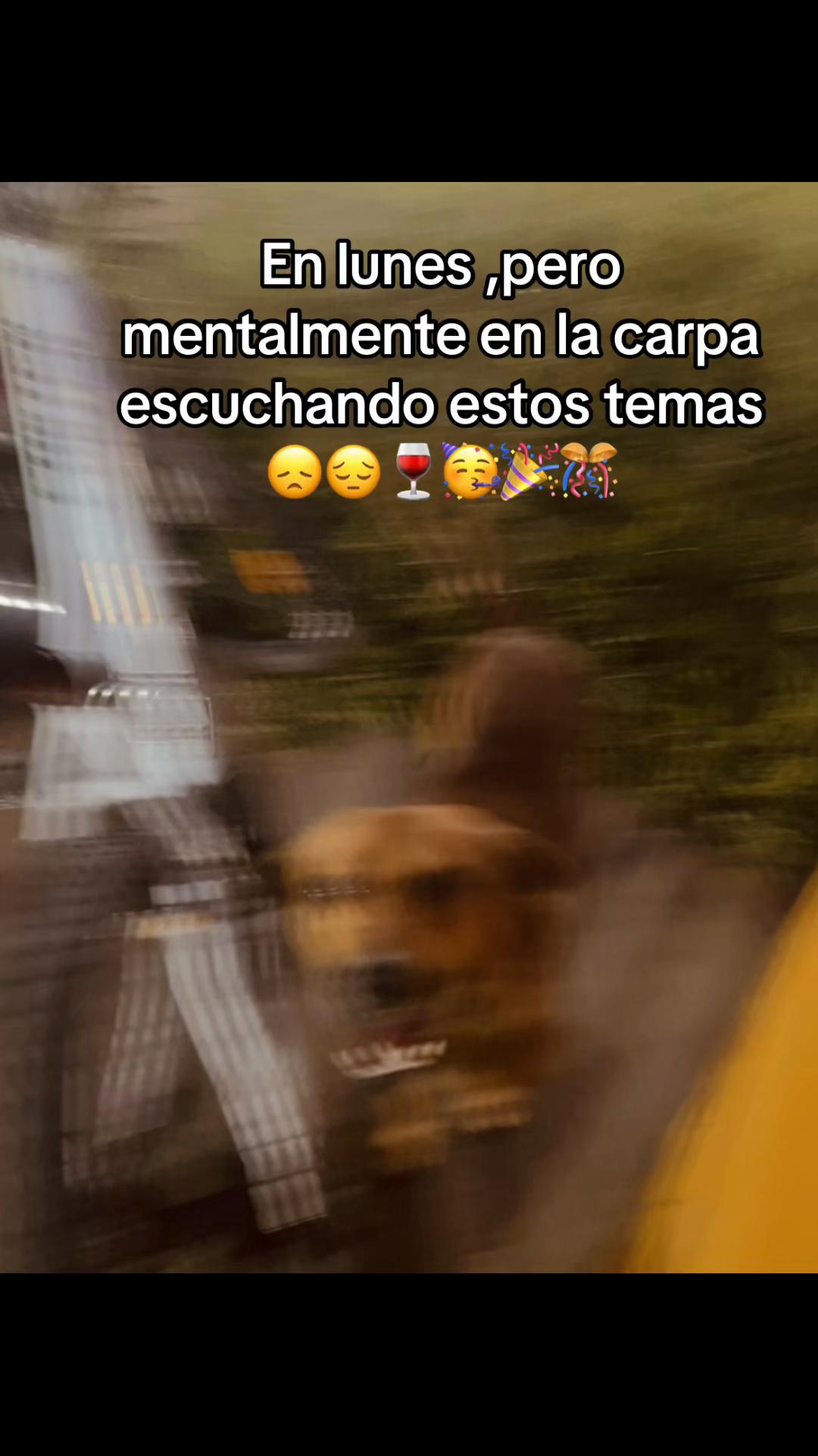 @Quedeque?